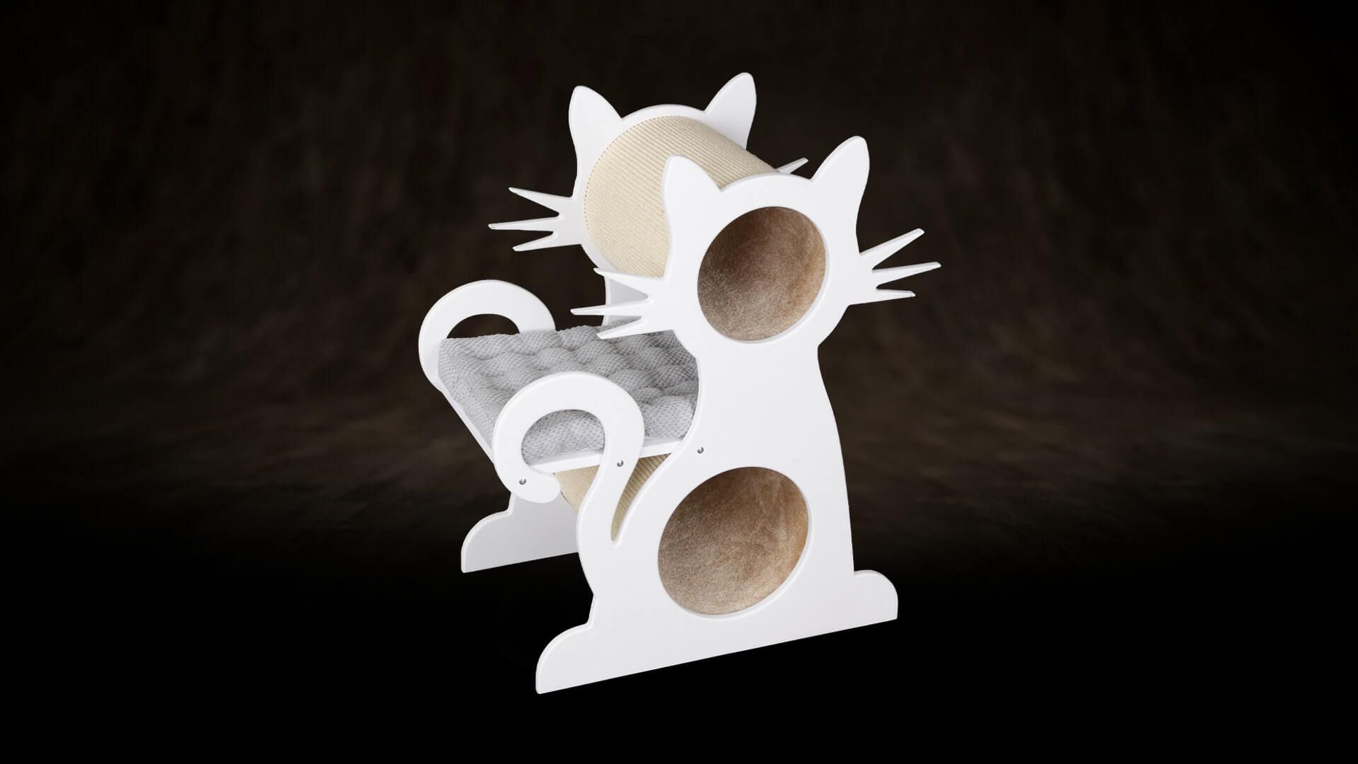 un chat de taille moyenne