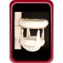 Accessoires Griffoir