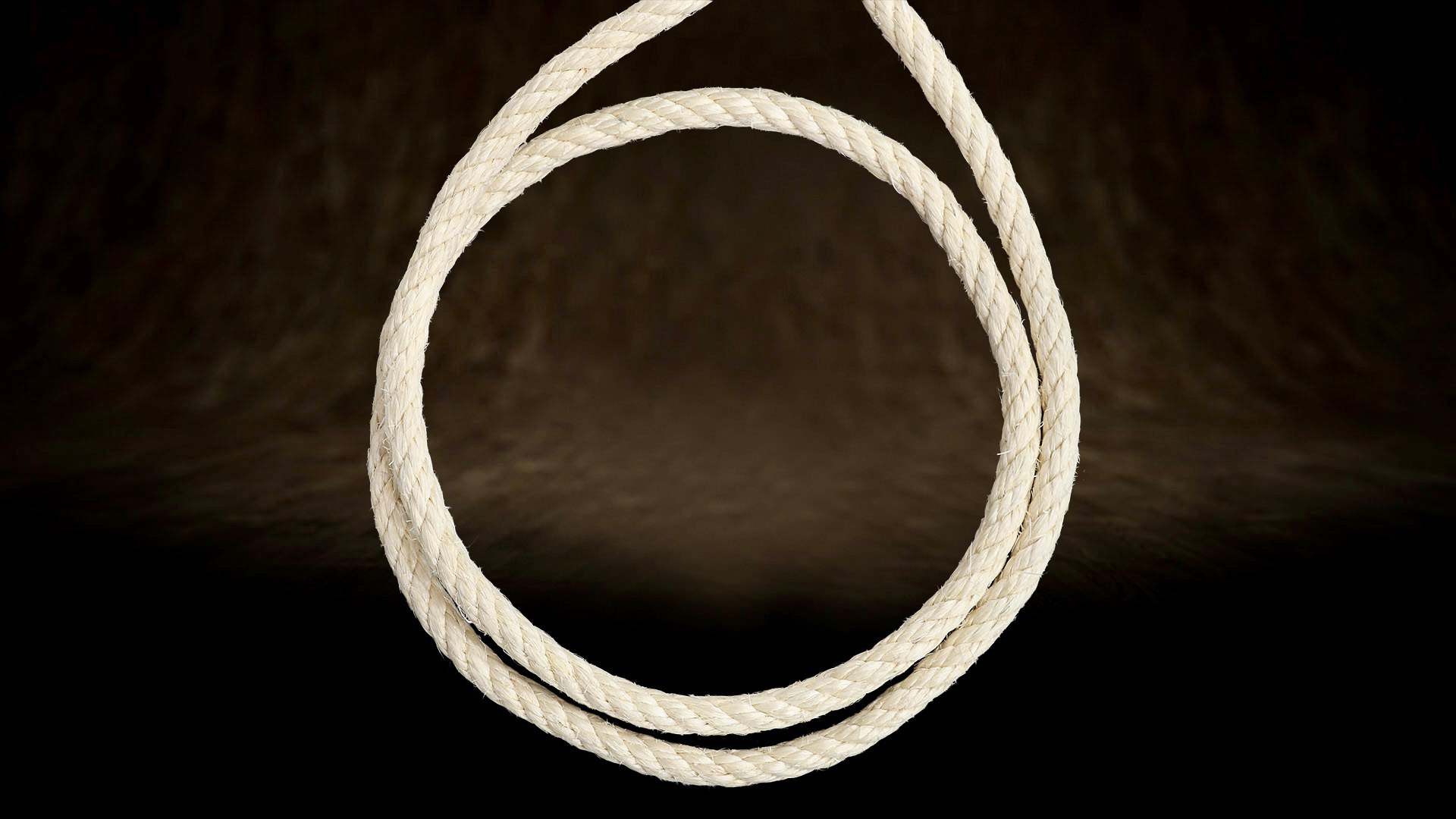 Gros plan d'une corde en sisal à quatre torons d'environ 12 mm de diamètre. Une torsion serrée et des torons réguliers ont une influence majeure sur la durabilité de la surface à griffer.