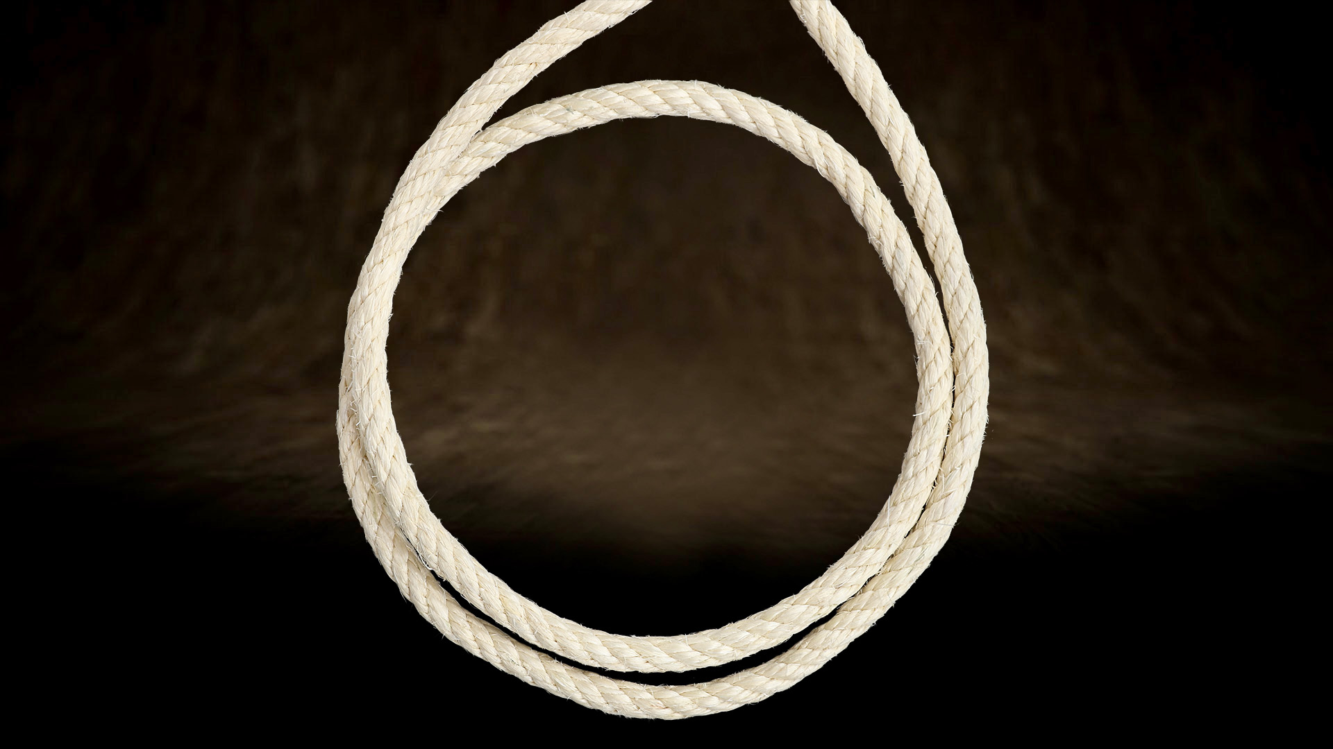 Gros plan sur une corde en sisal à quatre torons de 12 mm : la forte torsion lui confère rigidité et résistance au griffage intensif.Gros plan sur une corde en sisal à quatre torons de 12 mm : la forte torsion lui confère rigidité et résistance au griffage intensif.Gros plan sur une corde en sisal à quatre torons de 12 mm : la forte torsion lui confère rigidité et résistance au griffage intensif.