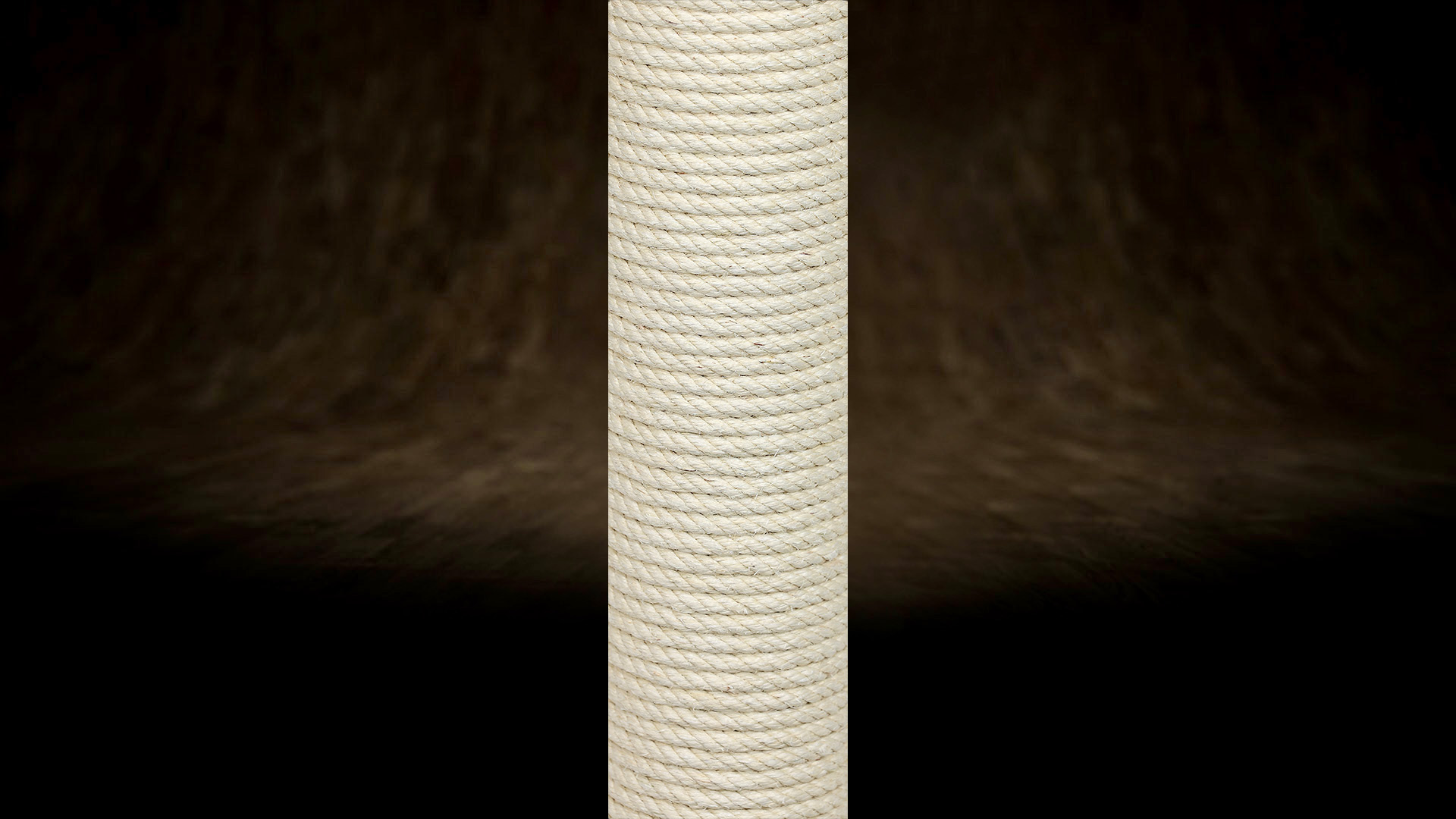 Corde en sisal correctement enroulée : les spires sont régulières, fortement serrées les unes contre les autres et ne présentent ni espaces ni jeu.Corde en sisal correctement enroulée : les spires sont régulières, fortement serrées les unes contre les autres et ne présentent ni espaces ni jeu.Corde en sisal correctement enroulée : les spires sont régulières, fortement serrées les unes contre les autres et ne présentent ni espaces ni jeu.